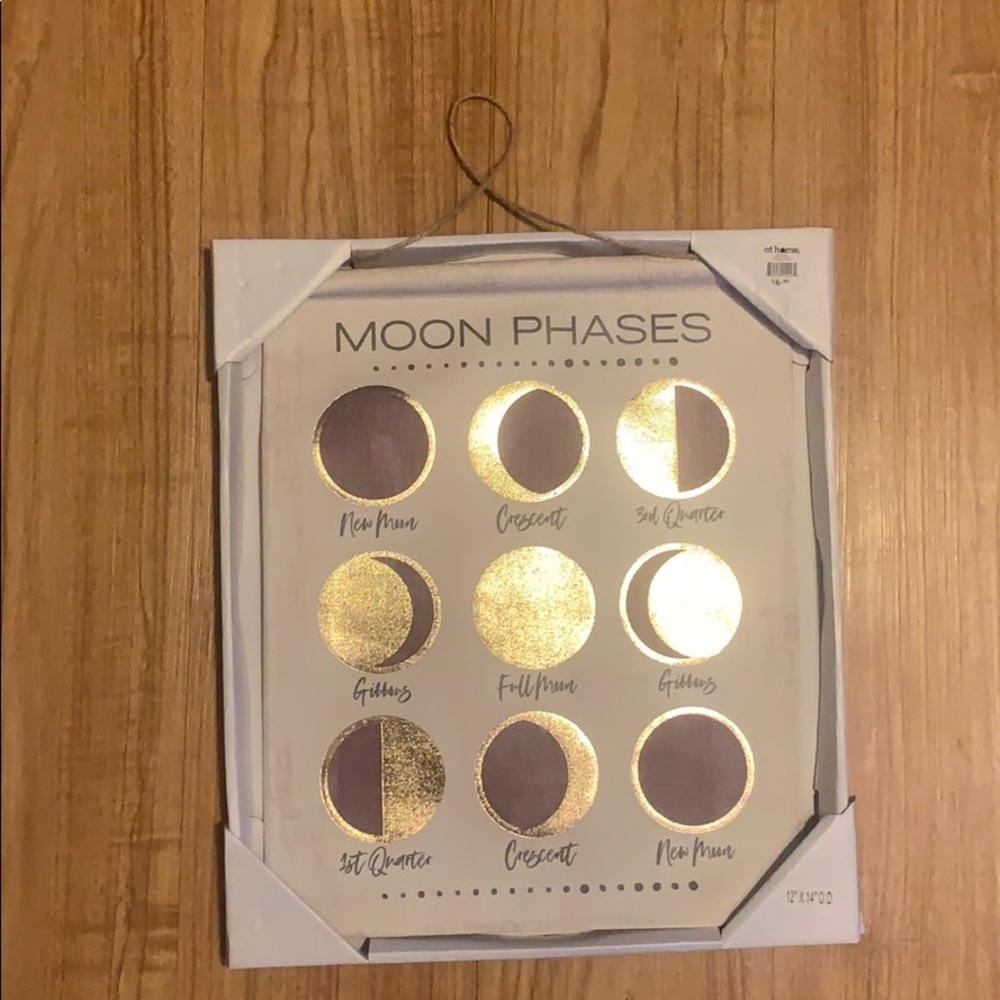 Moon Phases wall art